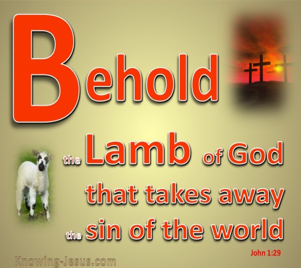 John 1:29 Behold, The Lamb Of God (red)